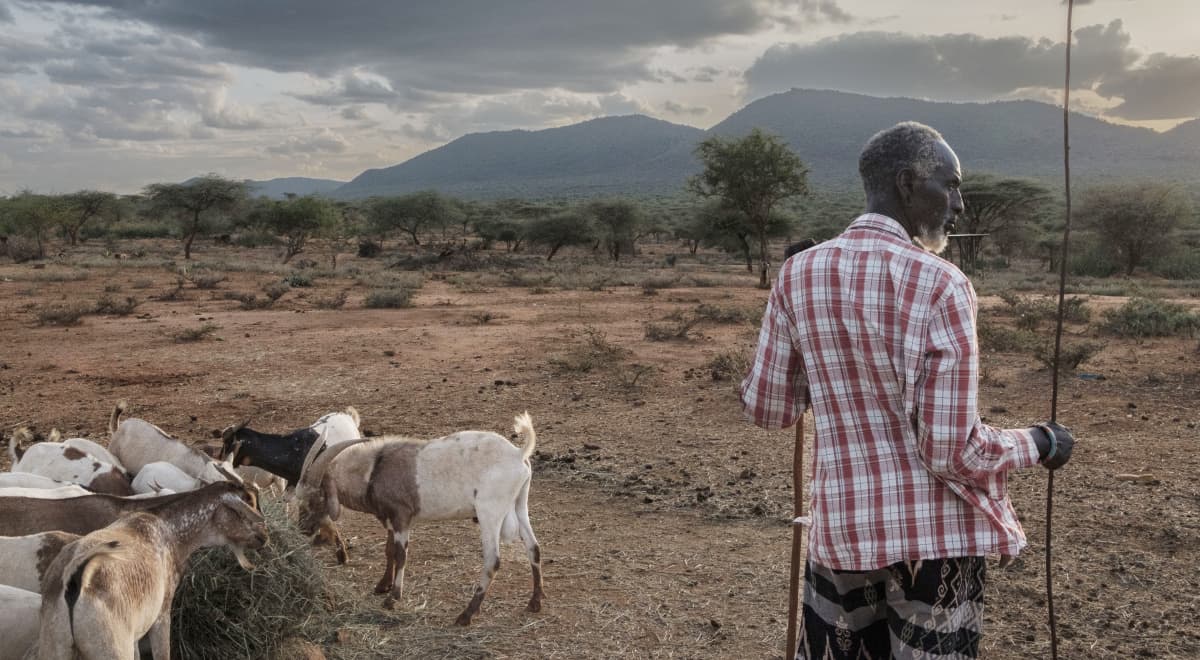 Pastoralists